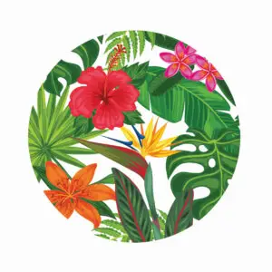 FORRO PLATOS BASE TROPICAL